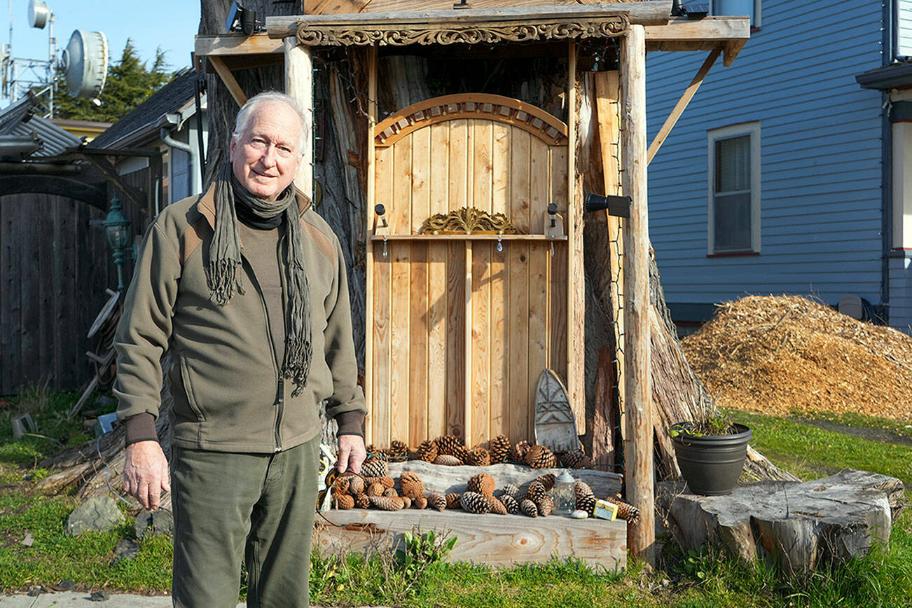 Steve Mullensky/for Peninsula Daily News

Port Townsend Uptown resident Kevin Mason stands in the Friday morning sunlight beside his art structure known as "Raccoon Lodge," a non-inhabitable facade constructed on the side of a 160 year old Monterey Cypress tree that cracked and broke onto the street a few years ago. Mason is involved in discussions with the city over a public right of way issue because the base of the sculpture is within a few inches of the public sidewalk.