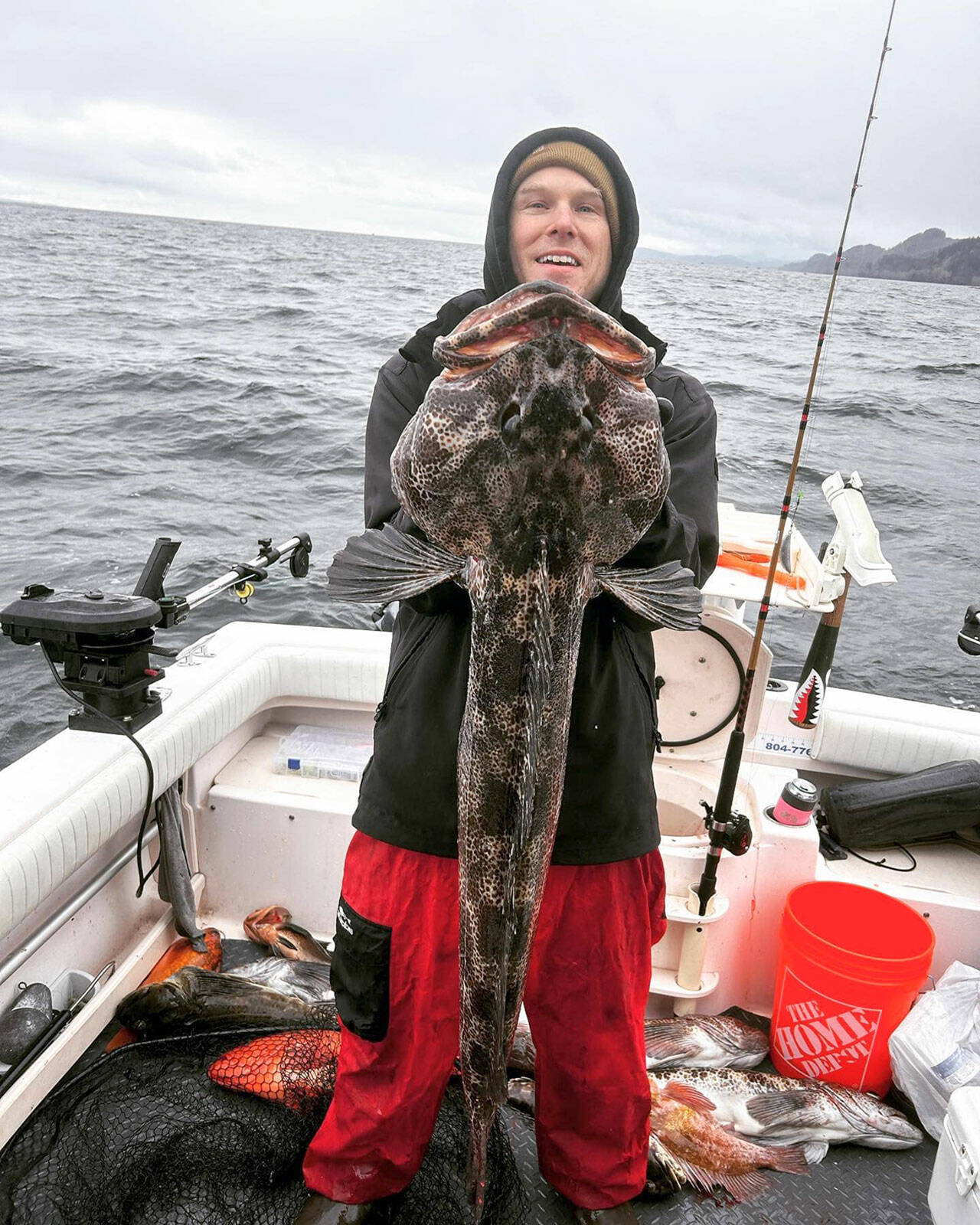 Angler Joseph Ebsworth landed this good-sized lingcod while fishing out of Neah Bay on the lingcod and bottomfish opener last Saturday.