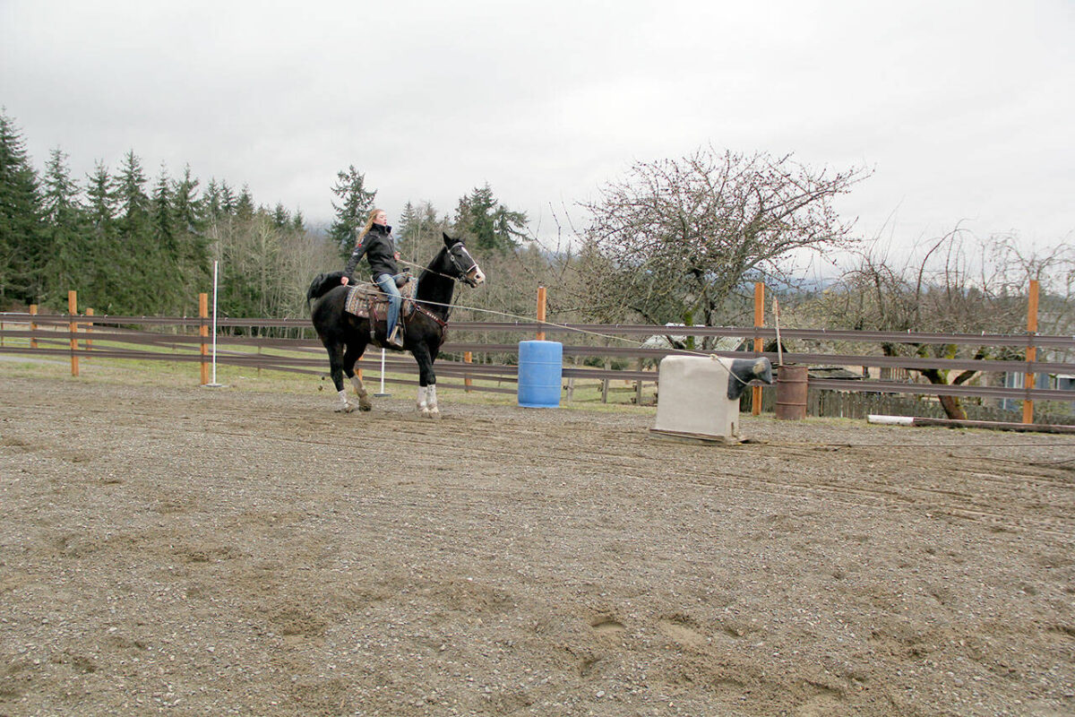 HORSEPLAY Kids come join PJRA; learn the ropes, riding Peninsula