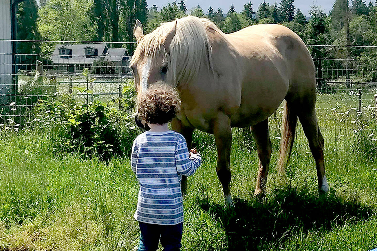 Photo by Karen Griffiths

 

Cutline: Griffiths’ horse Sunny was a beautiful and powerful barrel racer, plus all around good horse, who had a soft spot for her  grand-nephew Rory Ceballos, then 5. Sadly, after a harsh winter filled with illness she was put down last week.