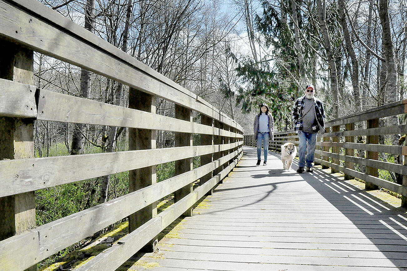 KEITH THORPE/PENINSULA DAILY NEWS
Imelda Jones, left, and Richard Wade, both of Port Angeles, along with the dog, Archie, walk along the Morse Creek trestle near Port Angeles. The trestle, part of the abandoned Chicago, Milwaukee, St Paul and Pacific railroad grade, is a key span on the Olympic Discovery Trail.
