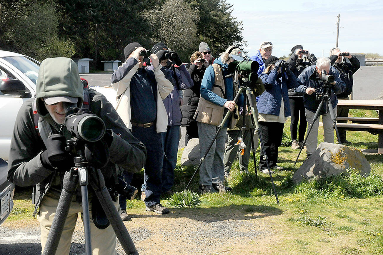KEITH THORPE/PENINSULA DAILY NEWS
Bird watchers peer out over the waters of Dungeness Bay from Dungeness Landing County Park north of Sequim on Friday in search of waterfowl as part of Olympic BirdFest 2023. The annual birding event draws avian enthusiasts from across the region who are attracted by the diversity of birds across the North Olympic Peninsula.