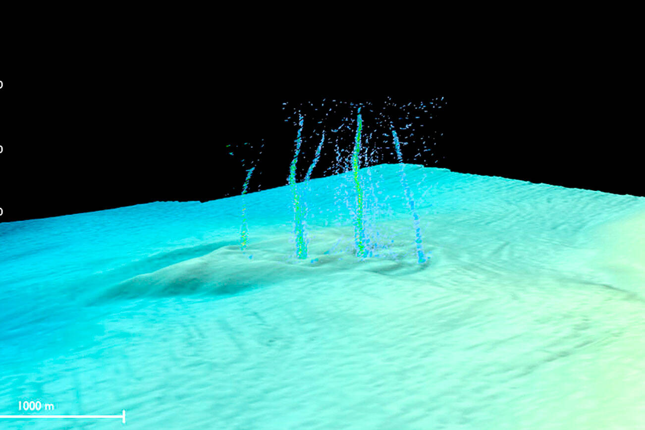 This sonar image of the Pythias Oasis site shows bubbles rising from the seafloor about two-thirds of a mile deep and 50 miles off Newport, Ore. These bubbles are a byproduct of a unique site where warm, chemically distinct fluid gushes from the seafloor. Researchers believe this fluid comes directly from the Cascadia megathrust zone, or plate boundary, and helps control stress buildup between the two plates.Philip et al./Science Advances