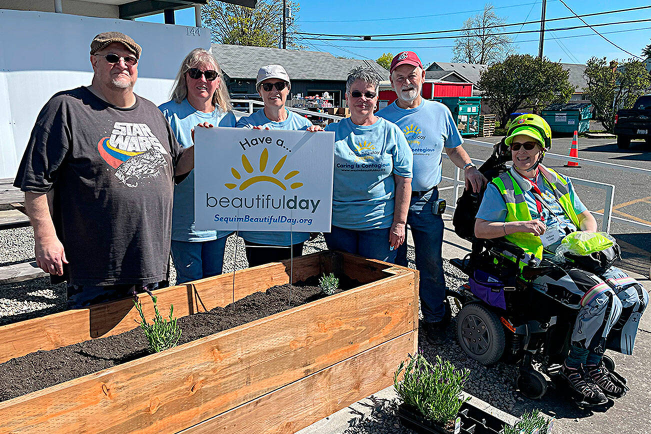 Matthew Nash/ Olympic Peninsula News Group

At Sequim Food Bank, volunteers, from left, Kevin Wilson, Betty Gwaltyney, Corky Schadler, Melody Wilson, John Matson and Melissa Vemi with Sequim Community Church, worked together to build two planters, fill them with dirt and plant lavender for Sequim Beautiful Day. Not pictured was Steve Gale.