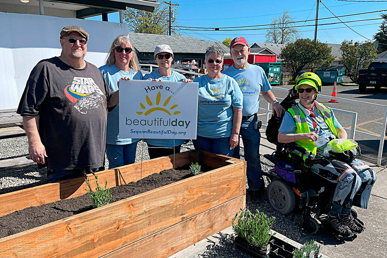 At Sequim Food Bank, volunteers, from left, Kevin Wilson, Betty Gwaltyney, Corky Schadler, Melody Wilson, John Matson and Melissa Vemi with Sequim Community Church, worked together to build two planters, fill them with dirt and plant lavender for Sequim Beautiful Day. Not pictured was Steve Gale. (Matthew Nash/Olympic Peninsula News Group)