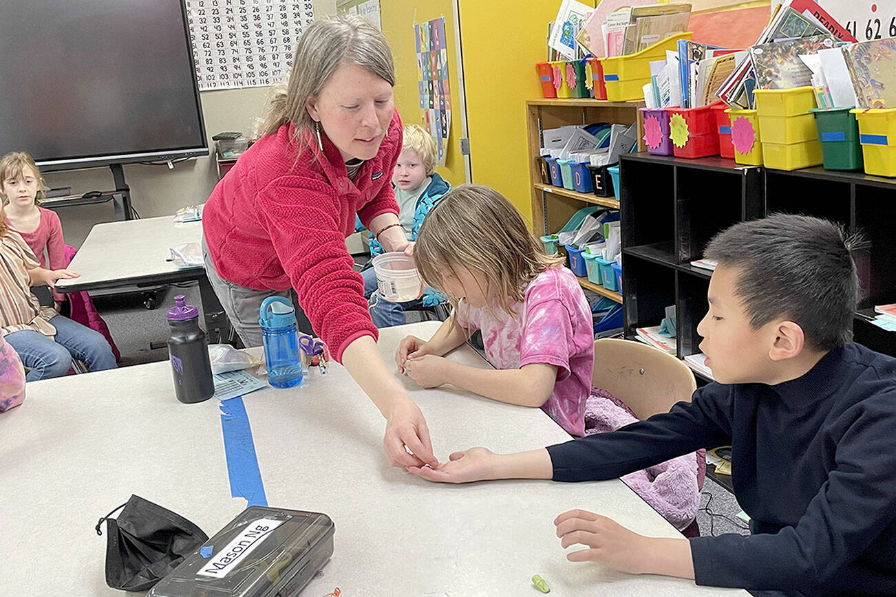 Mandy Miller hands first-grader Mason Ng a bean in teacher Jennifer Soule’s class at Franklin Elementary School. Cora Lehmann, right, peels a bean apart to find and identify the different parts of the seed as part of a lesson in the Creative Start program administered by the Port Angeles Fine Arts Center in three district schools that combine lessons in art and science. (Paula Hunt/Peninsula Daily News)