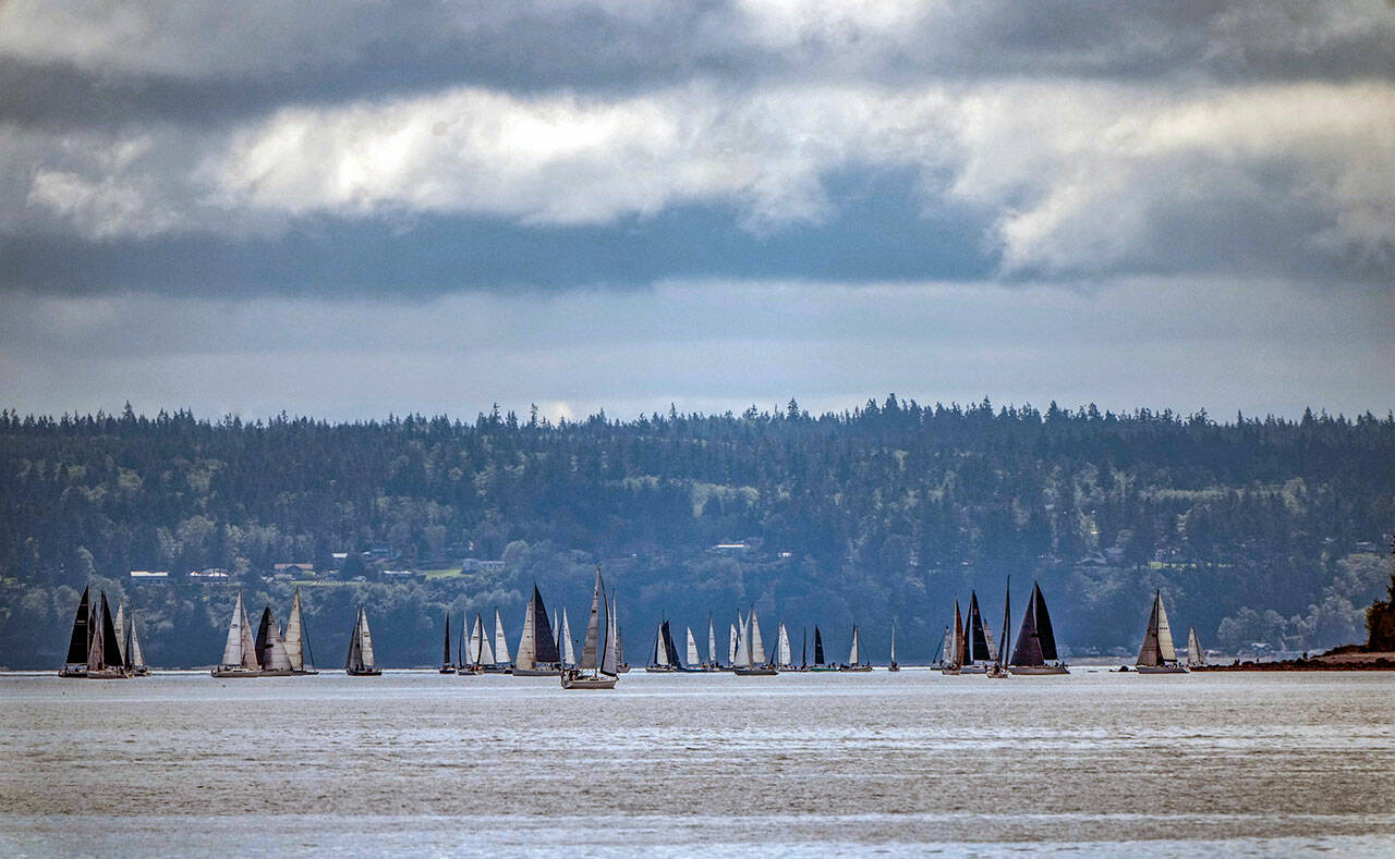 Sailboats bob along in light winds as they approach Marrowstone Point on the second leg, Sunday, of the annual Race to the Straits regatta from Shilshole to Port Townsend put on by the Sloop Tavern Yacht Club in Ballard. (Steve Mullensky/for Peninsula Daily News)
