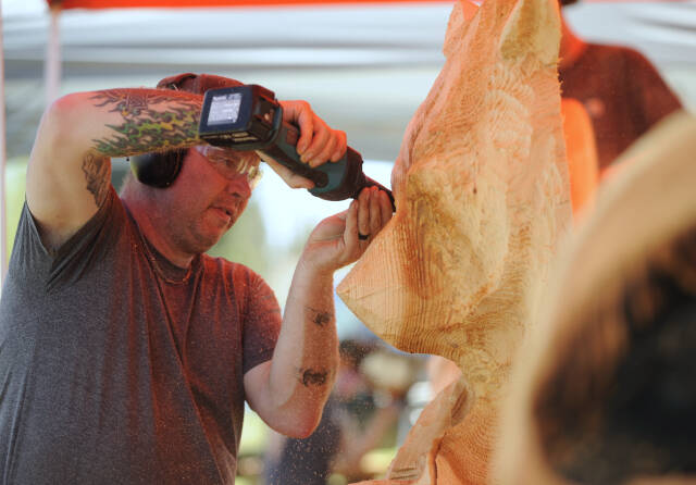 Nick Bielby of the Port Angeles-based Nicklby Wood Carving, works on a large bear sculpture at the Sequim Irrigation Festival Logging Show on Friday. Festival activities continue Saturday. (Michael Dashiell/Olympic Peninsula News Group )