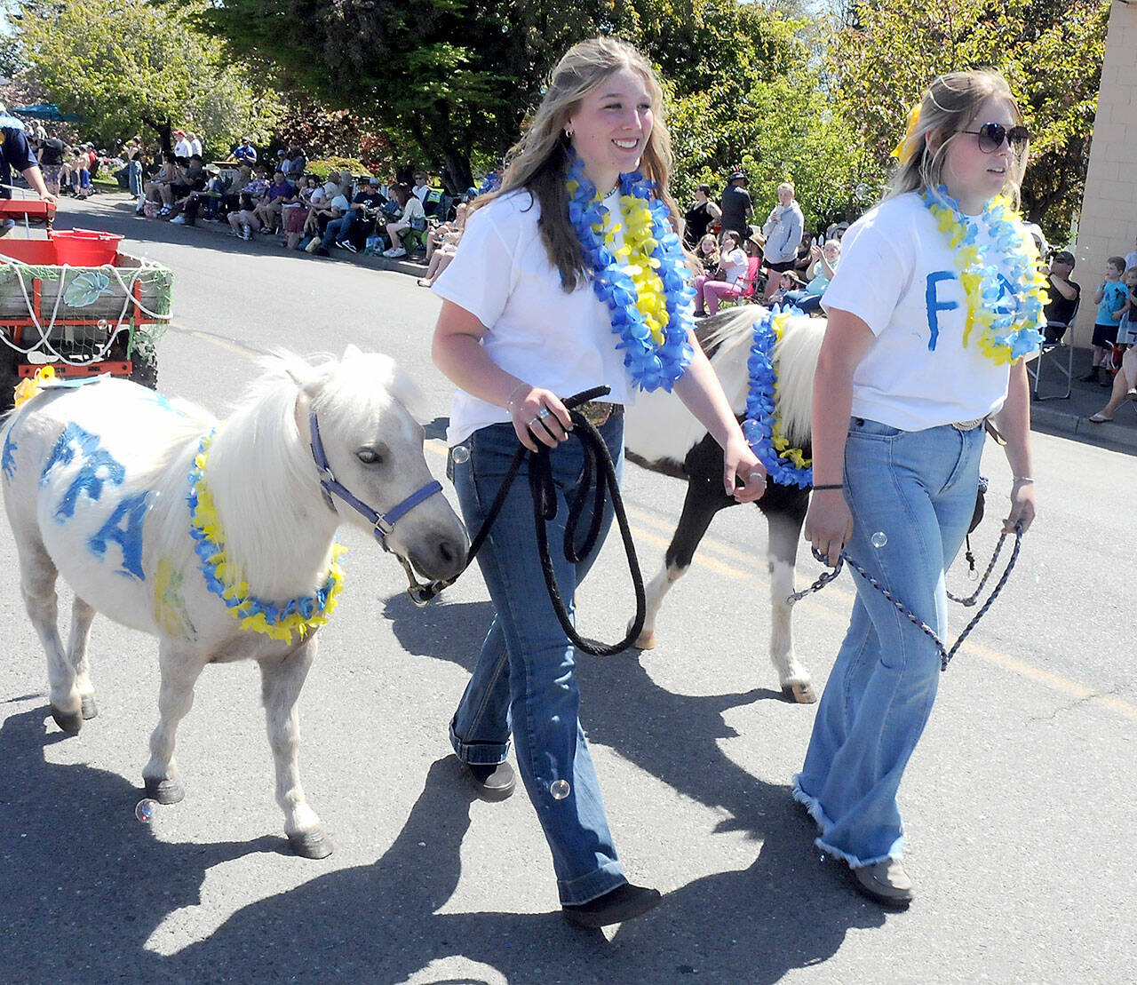 Sequim High School Future Farmers of America members Paige Reed, left, and Grace Reed, both 15, lead miniature ponies Tiny Tim and Gypsy down the grand parade route on Saturday. (Keith Thorpe/Peninsula Daily News)