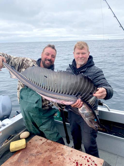 Mukilteo angler Alex Malysheff, right, caught and released this lancetfish while halibut fishing off Neah Bay. A number of lancetfish, usually a tropical species, have washed up on West Coast shores in recent weeks.