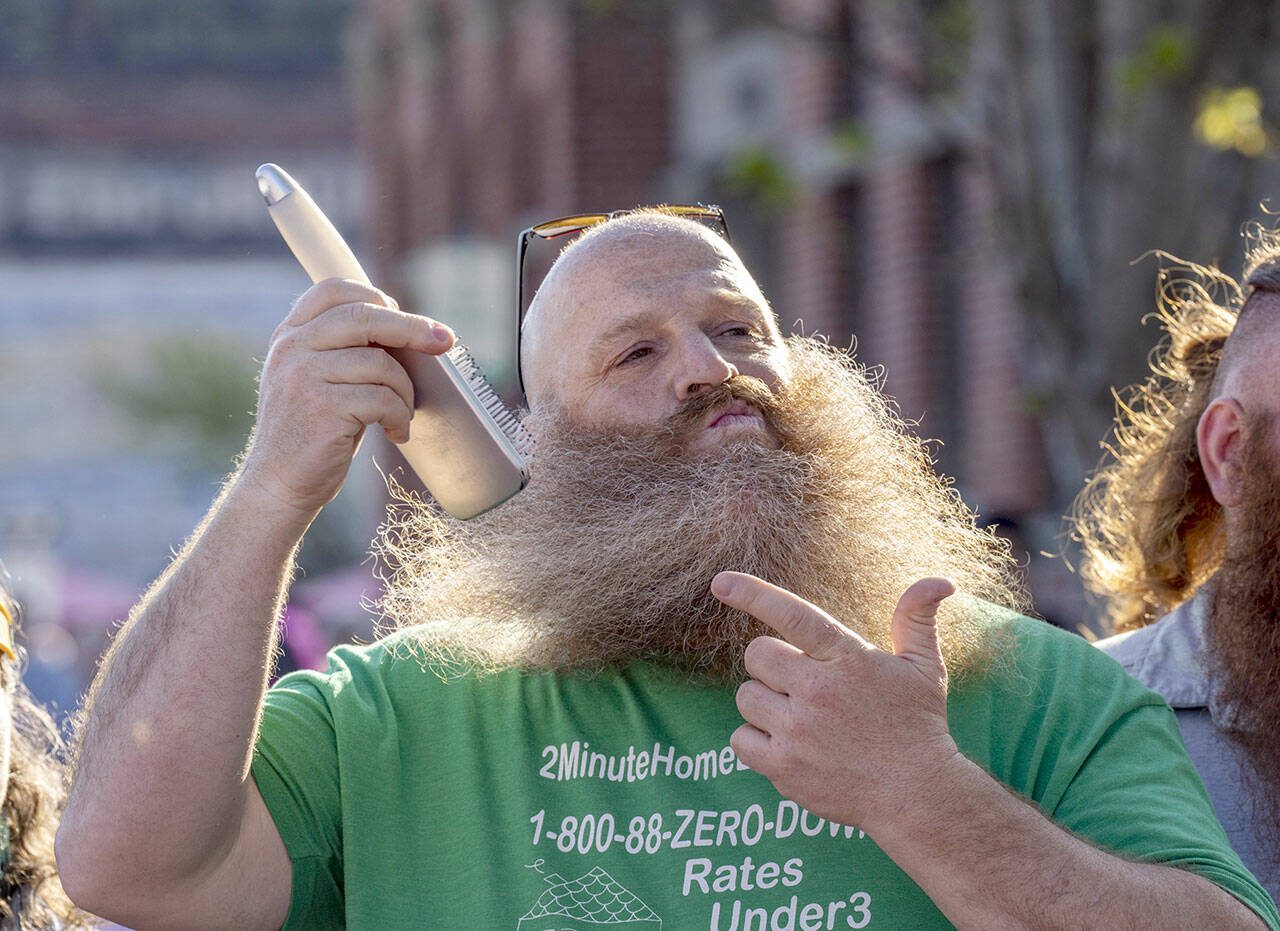 Nick Krehnke brushes out his beard before judging of the Hair and Beard contest on Saturday in downtown Port Townsend. Krehnke’s beard won best overall in the craziness category. (Steve Mullensky/for Peninsula Daily News)
