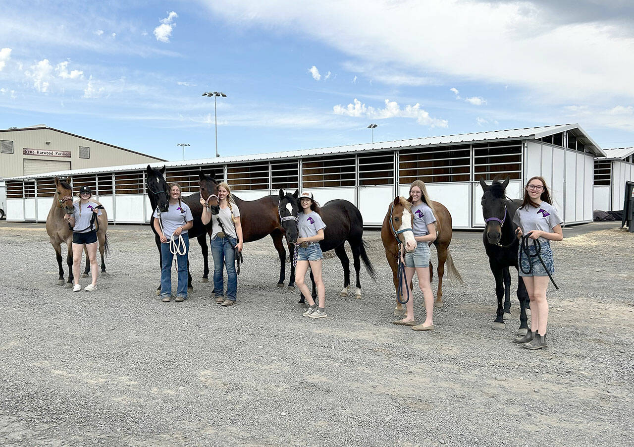 Sequim’s high school equestrian team displayed good attitudes, horsemanship and riding skills when they competed earlier this month at the WAHSET state finals on borrowed horses, a recently rehabbed horse and a new horse. From left, Kennady Gilbertson with borrowed horse Bling, Paige Reed with borrowed horse Maverick, Libby Swanberg with borrowed horse Lou, Sydney Hutton with borrowed horse Nikki, Celbie Karjalainen with her newly healed Beau, and Katelynn Sharpe with her new horse Sophie. (Photos submitted by Katie Newton)