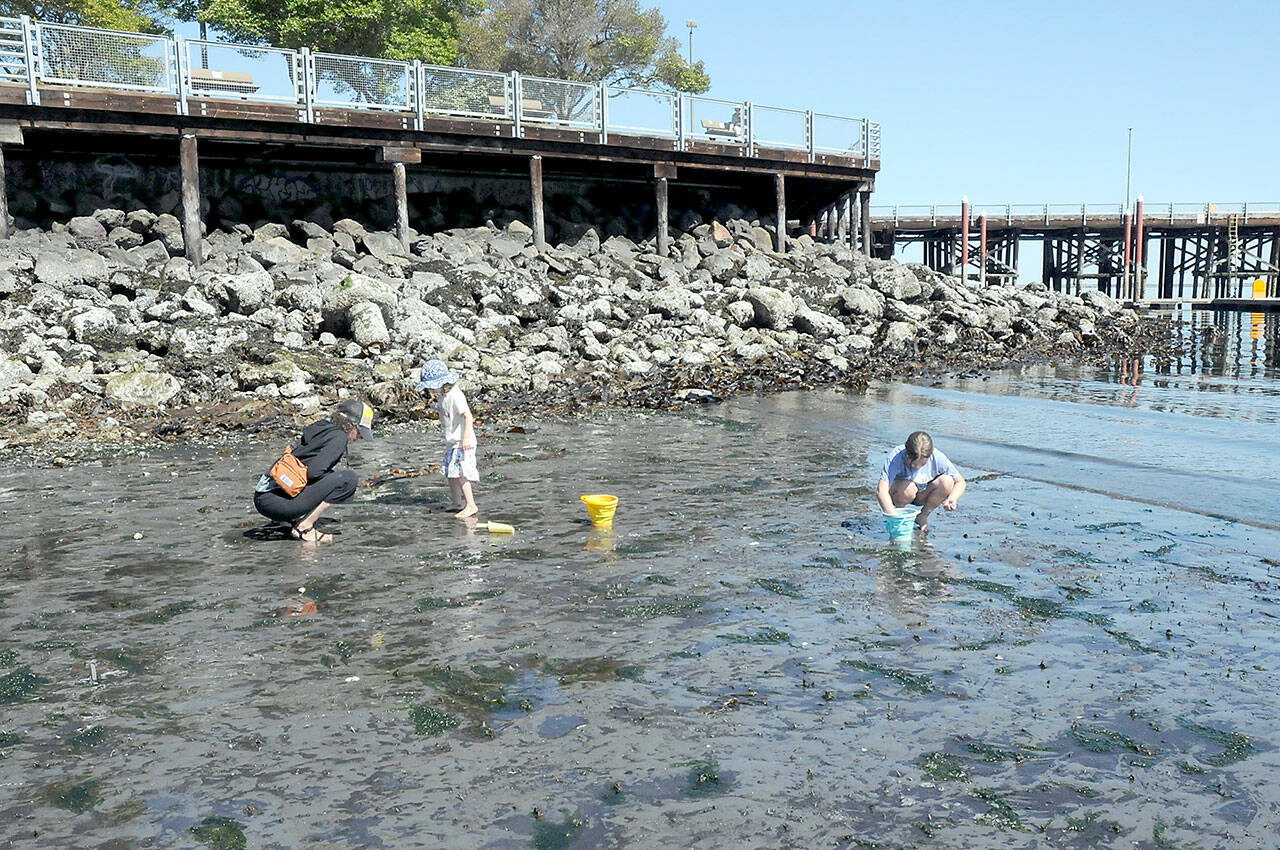 Jill Zarzeczny of Port Angeles, left, and her children, Althea Zarzeczny, 4, and Lupine Zarzeczny, 9, look for marine life beneath the sand during Tuesday’s low tide at Hollywood Beach in Port Angeles. (KEITH THORPE/PENINSULA DAILY NEWS)