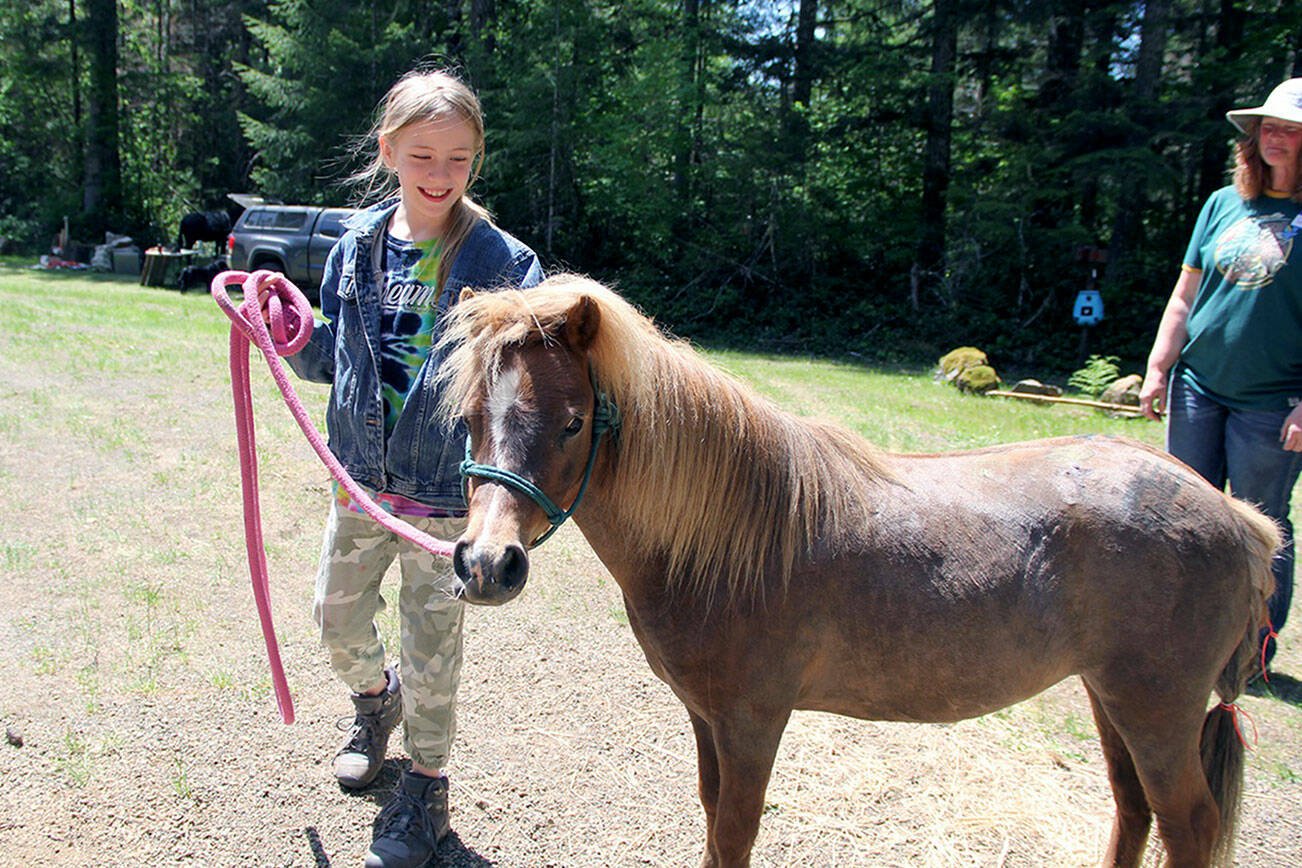 Fork’s Destiny Ashue, 9, was all smiles when she got to touch horses for her first  time during the Annual Save the Trails event last month at Littleton Horse Camp. Hosted by Backcountry Horsemen’s Mt. Olympus and Peninsula chapters, she was overjoyed to be able to lead this mini-horse by herself (under the watchful eye of Mt. Olympus BCH Chapter member Wendy Brundle)Photos by Karen Griffiths