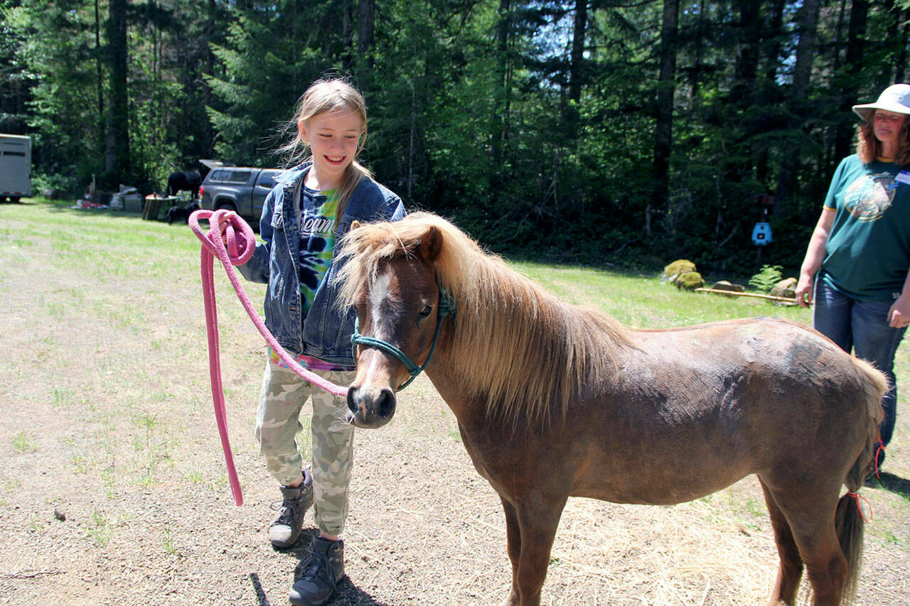 Fork’s Destiny Ashue, 9, was all smiles when she got to touch horses for her first time during the Annual Save the Trails event last month at Littleton Horse Camp. Hosted by Backcountry Horsemen’s Mt. Olympus and Peninsula chapters, she was overjoyed to be able to lead this mini-horse by herself, under the watchful eye of Mt. Olympus BCH Chapter member Wendy Brundle. (Karen Griffiths/Peninsula Daily News)