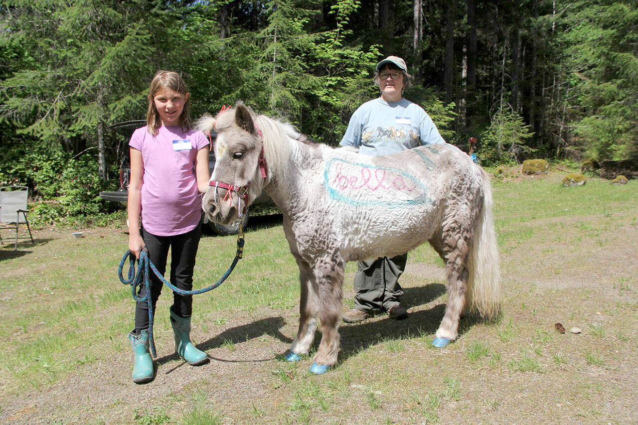 Mac Wilholm had a blast painting sparking light blue “toe nail polish, “a paint the color of her own cowgirl boots, on Bella the pony owned by Jan Whitlow during May’s Save the Trails event hosted by local Back Country Chapters in cooperation with Olympic National Park and Forest, plus Department of Natural Resources. (Karen Griffiths/Peninsula Daily News)