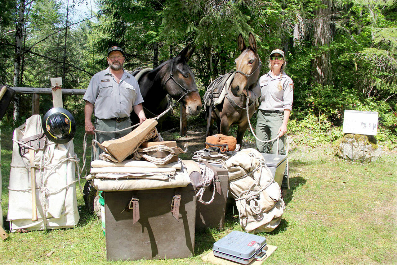 Olympic National Park’s Trail Maintenance Supervisor Larry Lack and Lead Packer Heidi Brill, shown with gear typically used when packing mules and other livestock in the back country. They offered demonstrations throughout the day at the Save the Trails event. (Karen Griffiths/Peninsula Daily News)