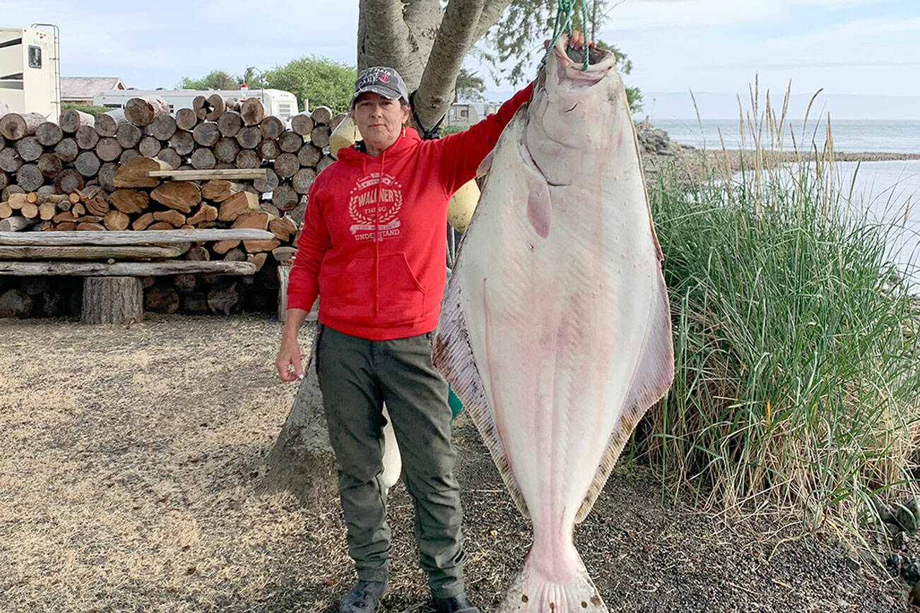 Vicki Wallner hauled in this 64-inch long halibut estimated at 134 pounds in the waters of Marine Area 5 while fishing for lingcod over Memorial Day weekend.