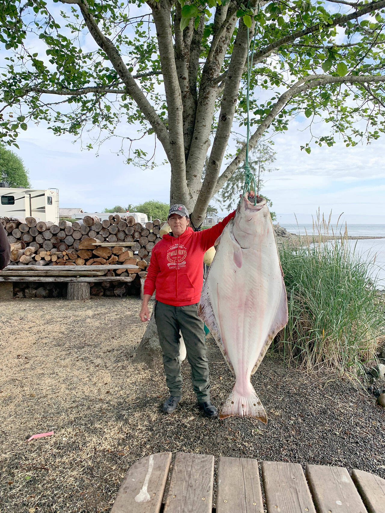 OUTDOORS: Giant halibut landed on light tackle as lingcod outing turns  'unexpected