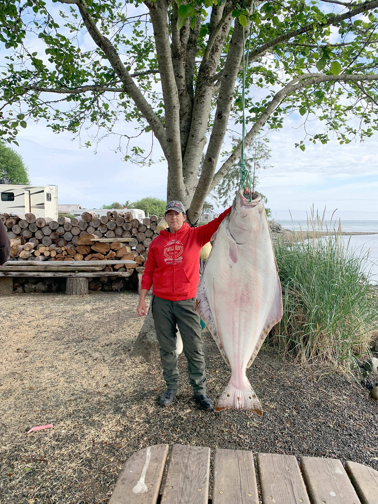 Vicki Wallner hauled in this 64-inch long halibut estimated at 134 pounds in the waters of Marine Area 5 while fishing for lingcod over Memorial Day weekend.