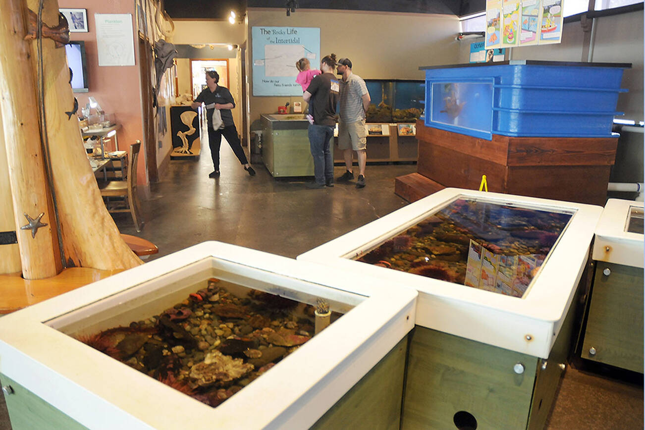 Visitors examine the marine exhibits at the Feiro Marine Life Center at Port Angeles City Pier on Sunday. (Keith Thorpe/Peninsula Daily News)