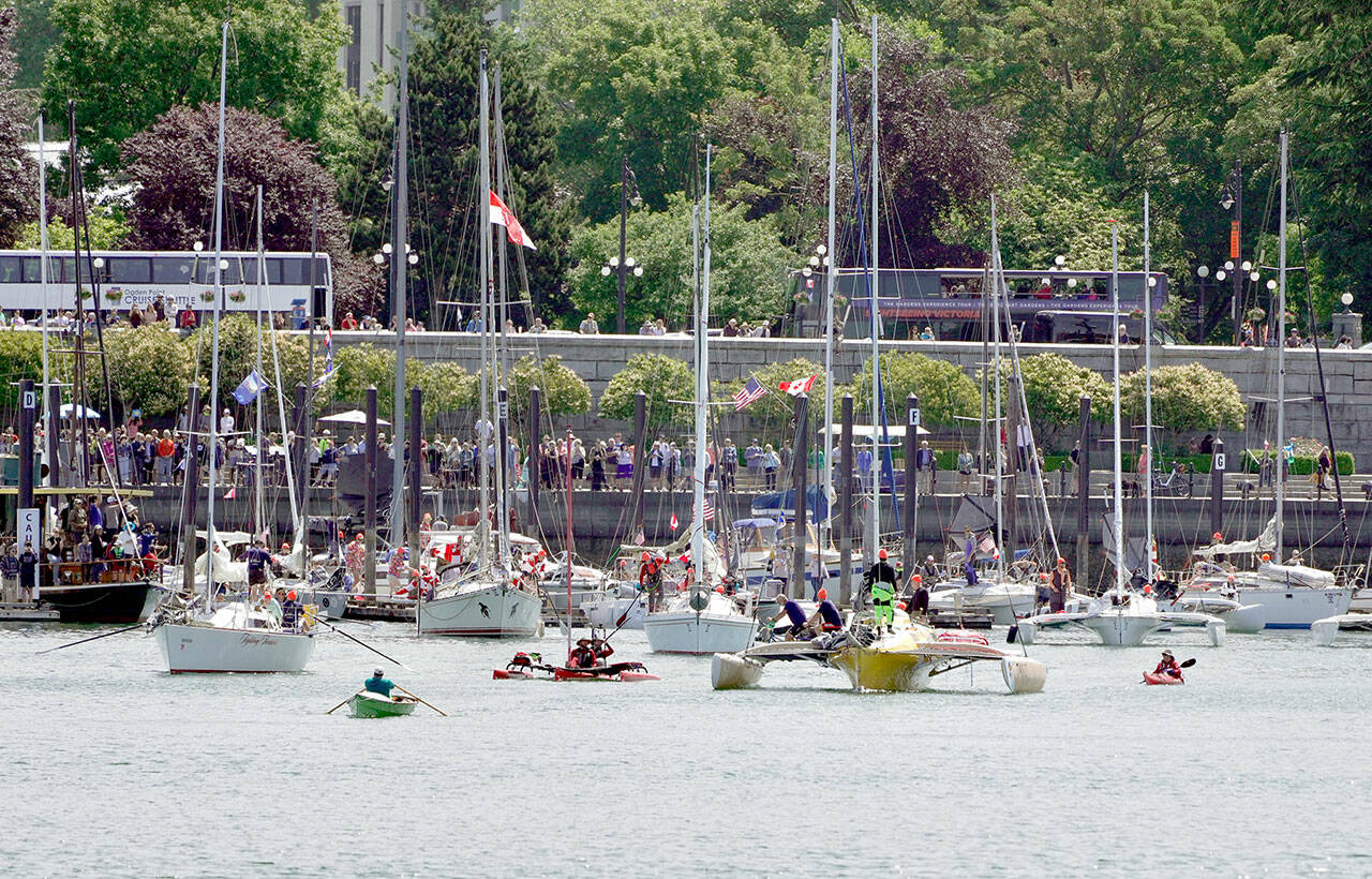 The cannon blast at noon on Thursday signaled the start of the 710 -mile leg of the 2023 Race2Alaska from Victoria’s Inner Harbour to Ketchikan, Alaska. Thirty-one boats, using sails, paddles or oars, left did a Le Mans type start from Government Street above the Harbour to their boats before the start of the race which got going in Port Townsend on Monday. (Steve Mullensky/for Peninsula Daily News)