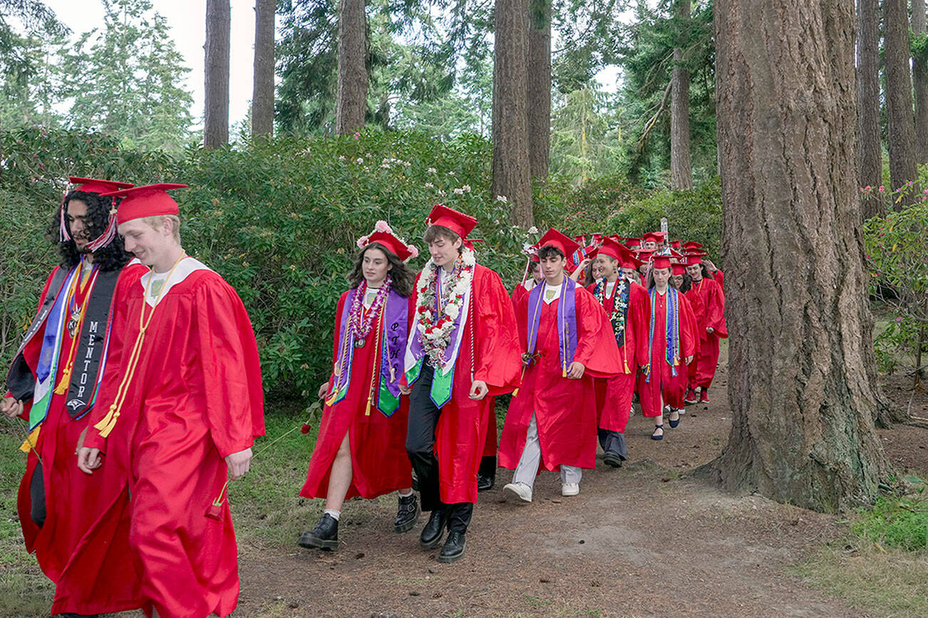 Steve Mullensky/for Peninsula Daily News

The one hundred fourteen seniors from Port Townsend High School wend their way through the Rhododendron Garden at Fort Worden State Park and on their way to McCurdy Pavilion to receive their diplomas on Thursday.