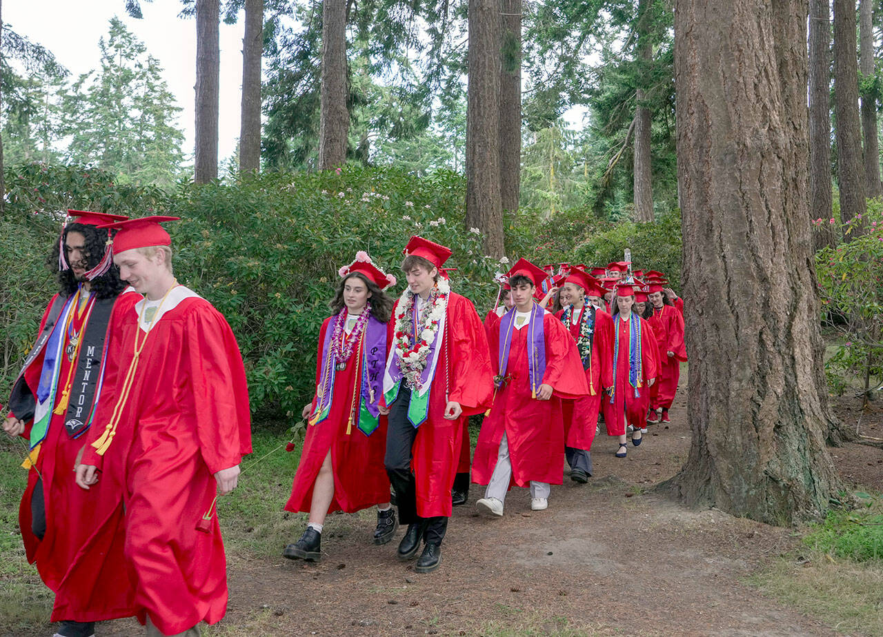 The 114 seniors from Port Townsend High School wind their way through the Rhododendron Garden at Fort Worden State Park and on their way to McCurdy Pavilion to receive their diplomas on Thursday. (Steve Mullensky/for Peninsula Daily News)