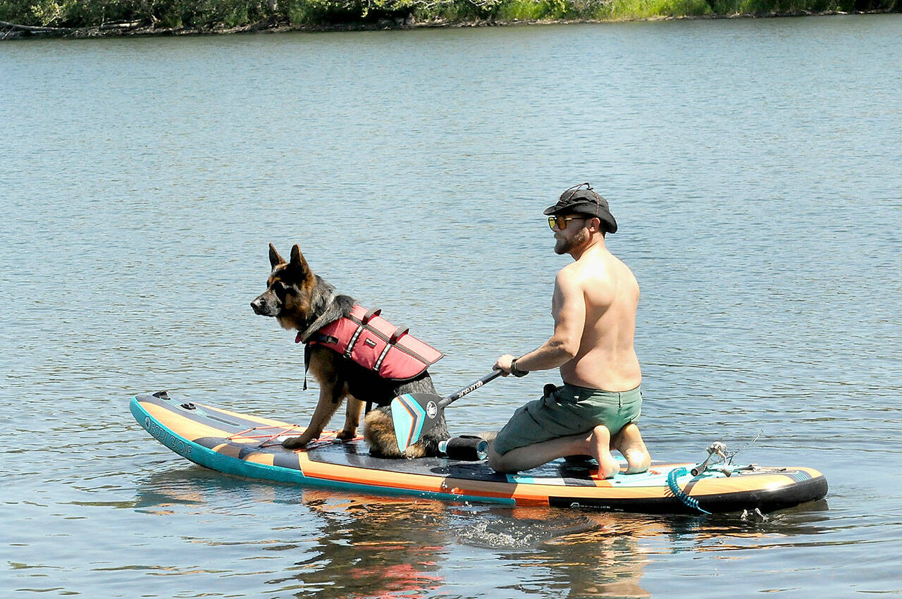 James Peters of Covington and his dog, Radar, set out on a standup paddleboard for an afternoon of fishing on Lake Pleasant near Beaver on Sunday. The pair set out with a companion from Lake Pleasant County Park. (Keith Thorpe/Peninsula Daily News)
