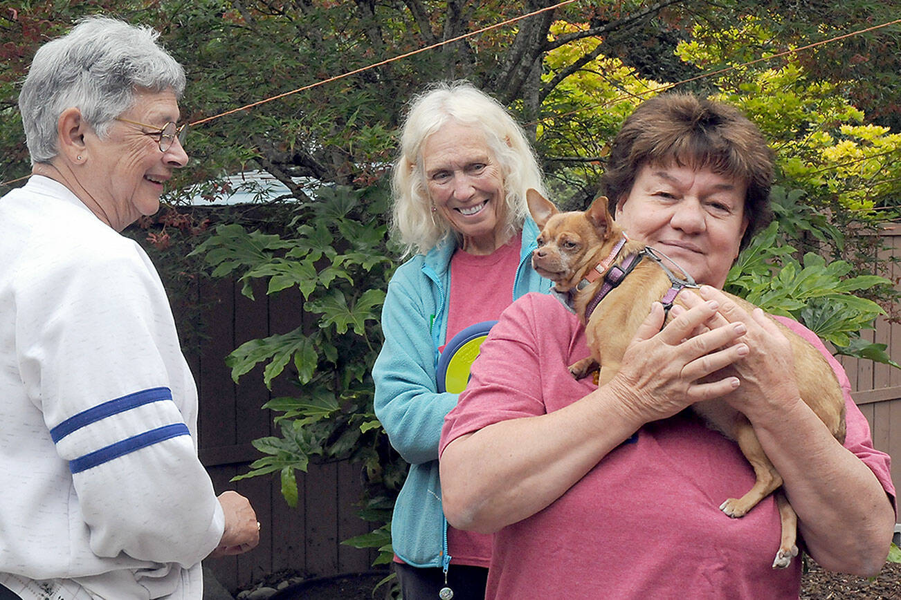 Susan McKay, a volunteer with the Welfare for Animals Guild, right, holds Athena, a Chihuahua, as Karen Mercil of Sequim, left, and fellow volunteer Jinx Bryant look on during an open house for the organization on Saturday near Sequim. The event allowed animal lovers an opportunity to visit the non-profit group’s dog shelter and to adopt a canine for its forever home. (Keith Thorpe/Peninsula Daily News)