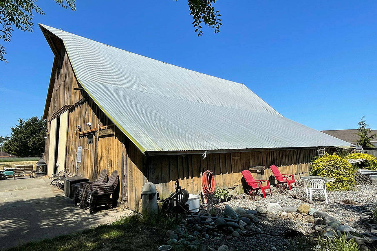 The "Old Barn" in Old Barn Lavender Company possibly dates back to 1910 for a cattle ranch, owners say. (Matthew Nash/Olympic Peninsula News Group)