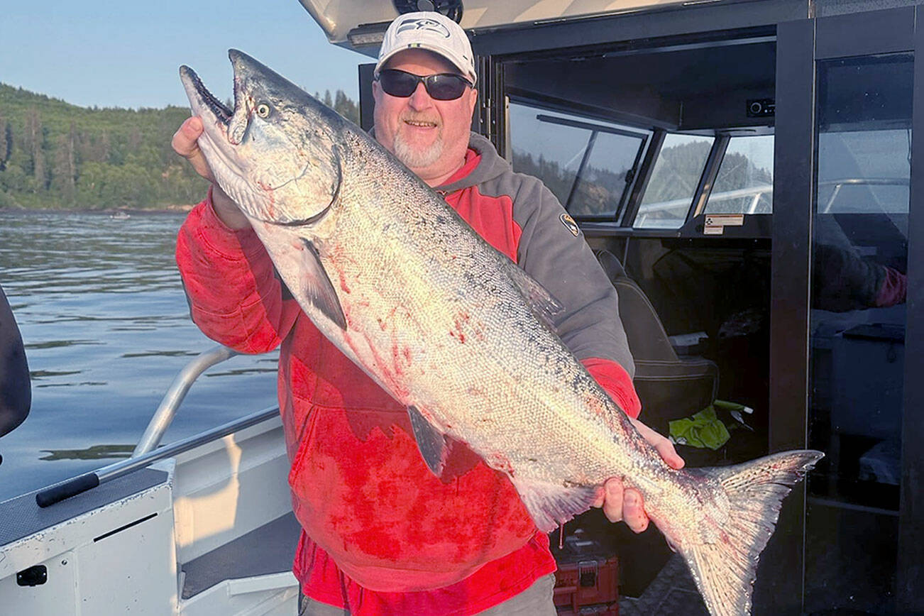 Craig Velthuysen caught this hatchery chinook estimated around 17 pounds with a hoochie recently on an early morning bite off Sekiu.