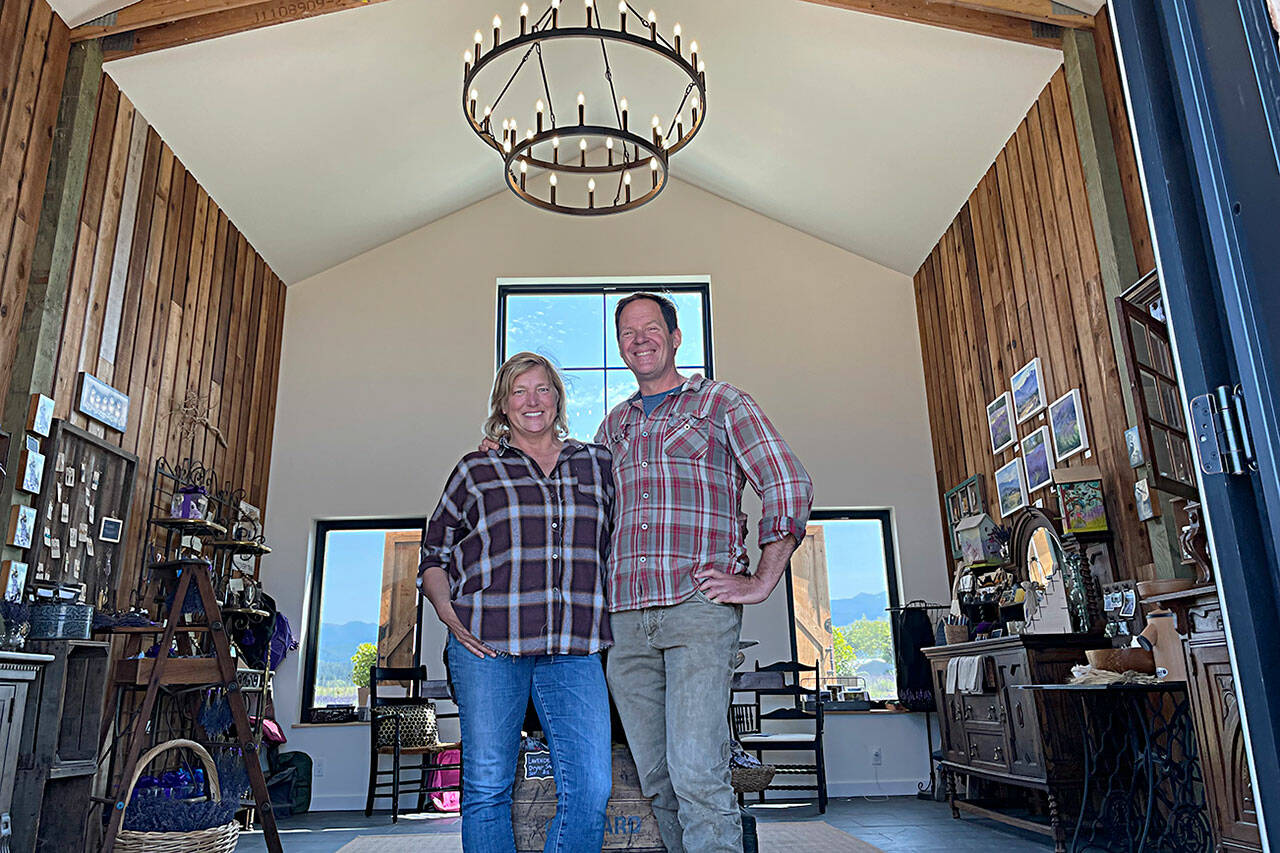 Ginger and Scott Wierzbanowski stand inside their lavender barn at Olympic Bluffs Cidery and Lavender Farm in Agnew. They’ve opened the lavender business for the first time this summer offering 30-plus lavender products. They’ll tentatively being operating their cidery in late summer. (Matthew Nash/Olympic Peninsula News Group)
Matthew Nash/ Olympic Peninsula News Group
In the fall, Ginger and Scott Wierzbanowski plan to plant another acre of winter wheat and rye at Olympic Bluffs Cidery and Lavender Farm as part of a Washington State University Breadlab project using ancient grains.