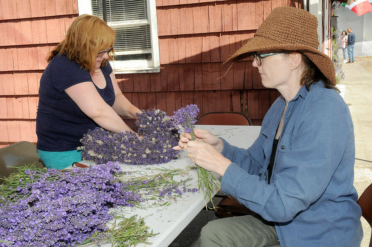 Deanna East of Tumwater, left, and Julie Hyde of Lacey create a lavender wreath on Friday at Victor’s Lavender Farm west of Sequim. a participating location in Sequim Lavender Weekend, which continues through Sunday. (KEITH THORPE/PENINSULA DAILY NEWS)