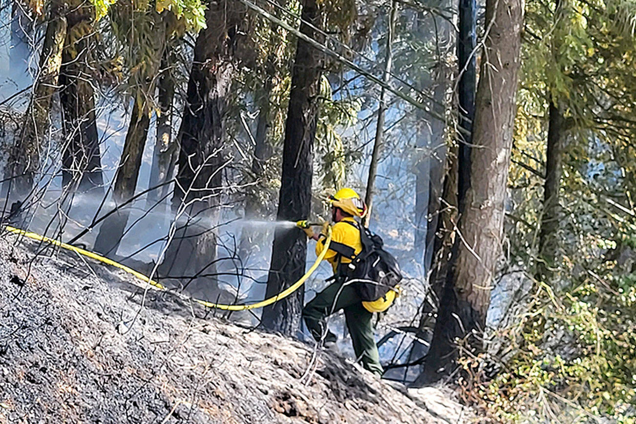 A firefighter uses a hose to fight a 10- to 12-acre brushfire off state Highway 19 near Chimacum on Tuesday. (East Jefferson Fire Rescue)