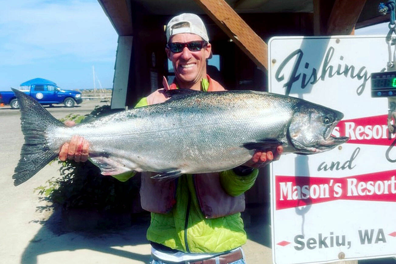 Mason's Resort
Sam Rutledge caught this good-sized king while fishing Marine Area 4 (Neah Bay) out of Mason's Resort.