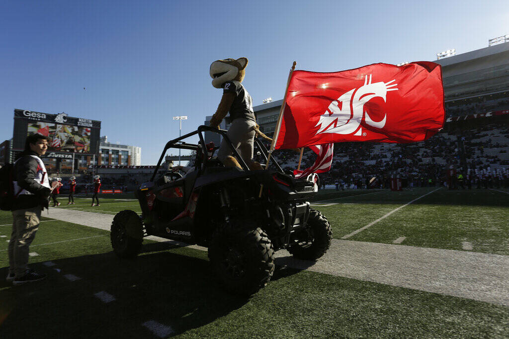 Washington State mascot Butch T. Cougar rides a vehicle before an NCAA college football game between Washington State and Arizona State, Saturday, Nov. 12, 2022, in Pullman, Wash. (AP Photo/Young Kwak)