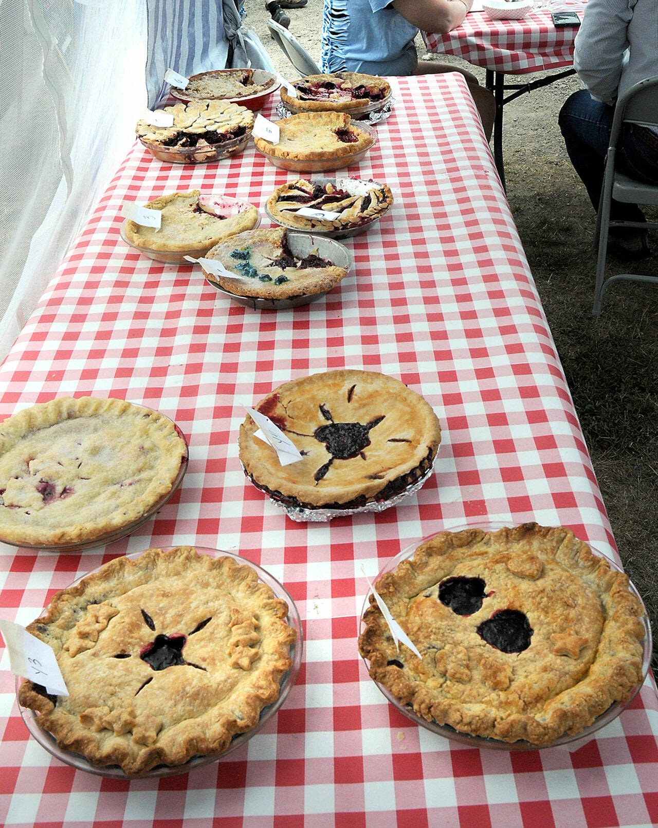 Homemade blackberry pies wait for judging during Saturday’s Joyce Daze Wild Blackberry Festival. (Keith Thorpe/Peninsula Daily News)