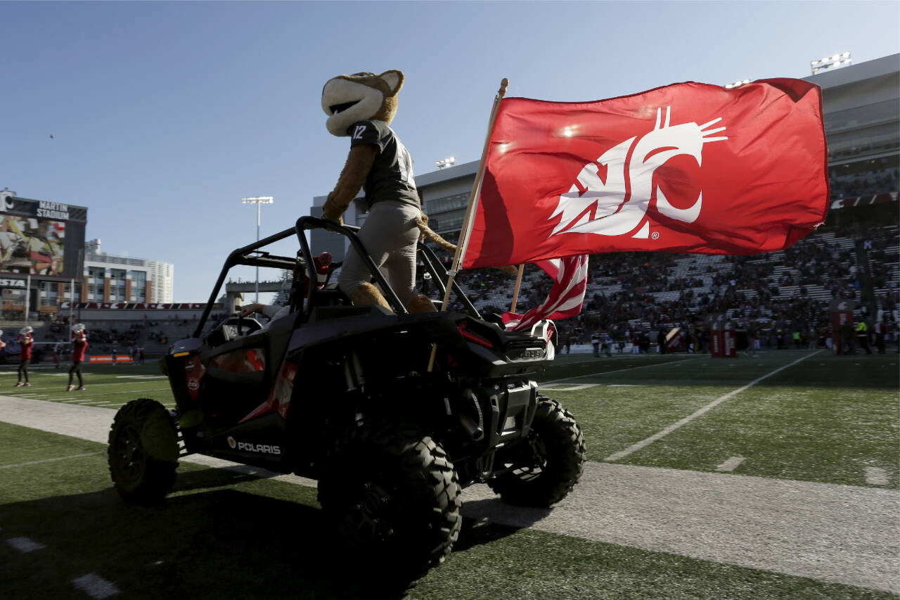 Washington State mascot Butch T. Cougar rides a vehicle before an NCAA college football game between Washington State and Arizona State, Saturday, Nov. 12, 2022, in Pullman. (Young Kwak/The Associated Press)