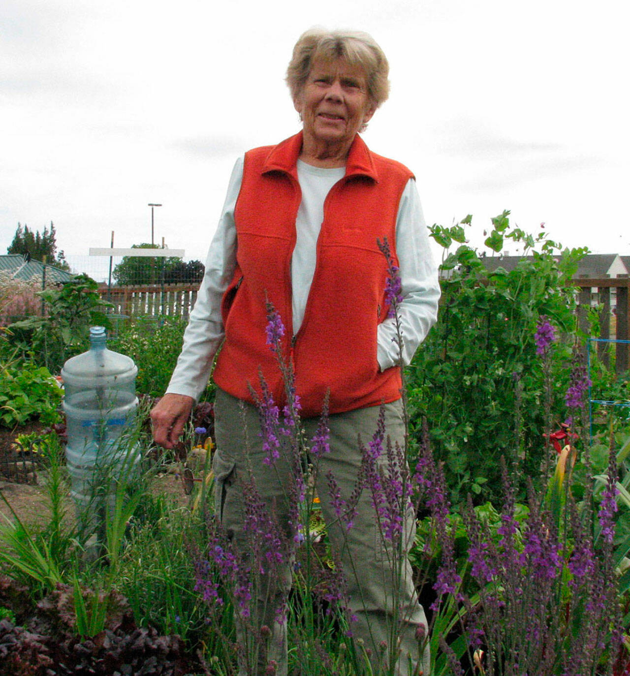 A Celebration of Life for Pam Larsen, co-founder of the Community Organic Garden of Sequim, is set for Saturday in the garden at 3 p.m. She helped start the Fir Street garden in 2008. (Photo courtesy Clallam County Master Gardeners)