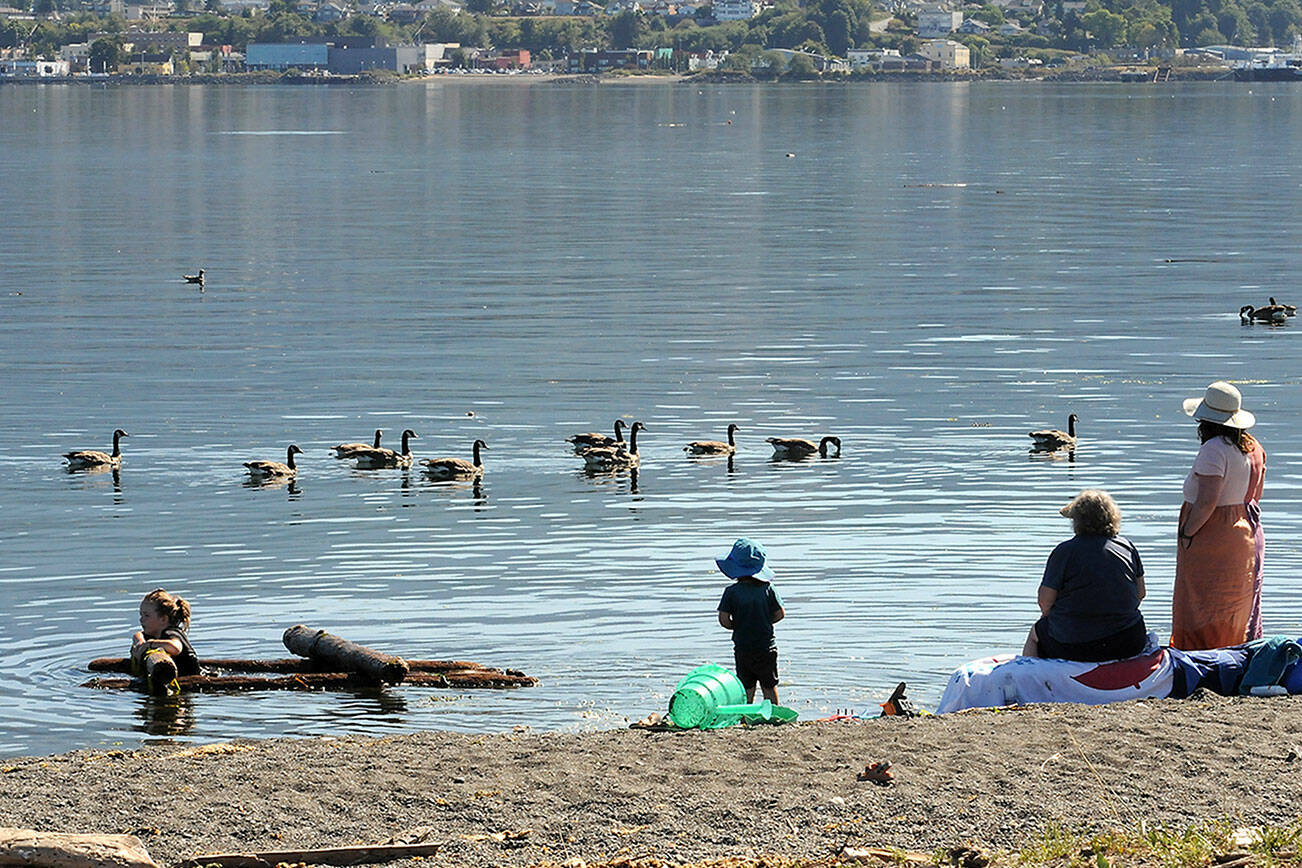 A line of Canada geese floats past family members, from left, Maisie Christison, 8, Apollo Christison, 3, grandmother Elizabeth Keitel of Wallace, Idaho, and mother Megan Christison of Port Angeles, on a warm day on Ediz Hook in Port Angeles. The group was enjoying cooler temperatures near the water. (Keith Thorpe/Peninsula Daily News)