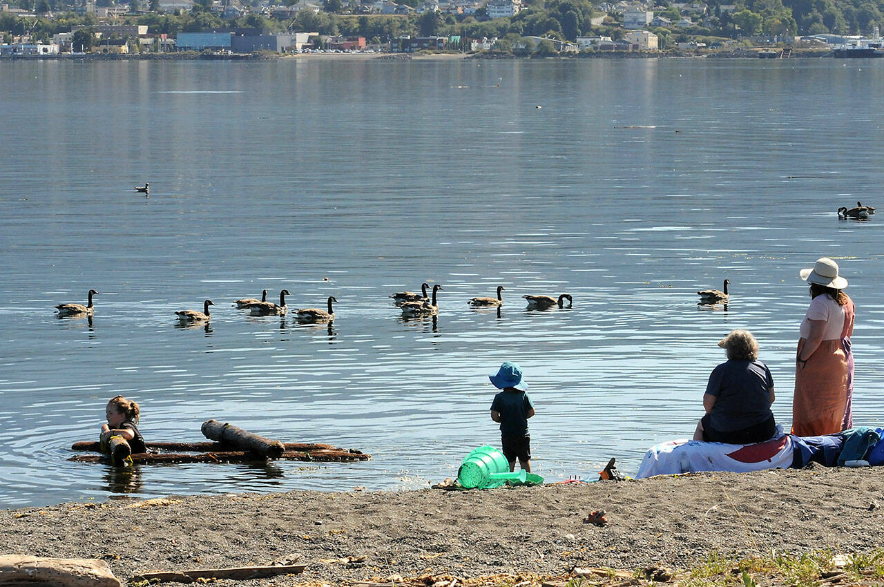 A line of Canada geese floats past family members, from left, Maisie Christison, 8, Apollo Christison, 3, grandmother Elizabeth Keitel of Wallace, Idaho, and mother Megan Christison of Port Angeles, on a warm day on Ediz Hook in Port Angeles. The group was enjoying cooler temperatures near the water. (Keith Thorpe/Peninsula Daily News)
