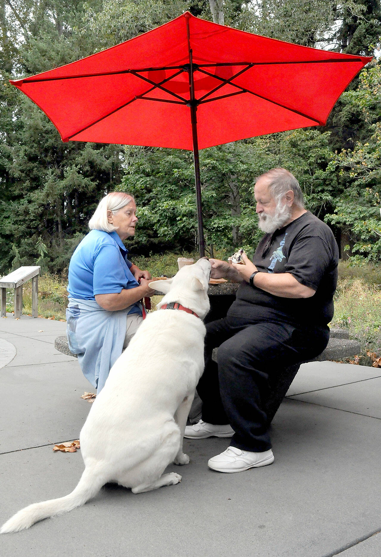 Lin Norris, left, watches as her husband George Norris feeds a tidbit to their rescued German shepherd, Storm King, on the patio of the Dungeness River Nature Center in Sequim.
The trio were on an outing to Railroad Bridge Park with a stop for coffee and snacks at the center. (KEITH THORPE/PENINSULA DAILY NEWS)
