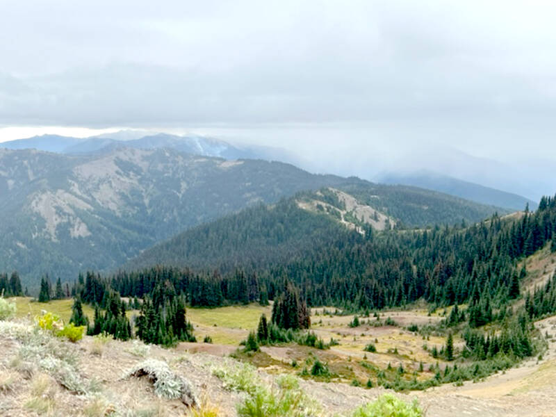 Small plumes of smoke rise from the Eagle Point Fire, as seen from the Hurricane Hill Trail, as rain moves into the area. (Olympic National Park)