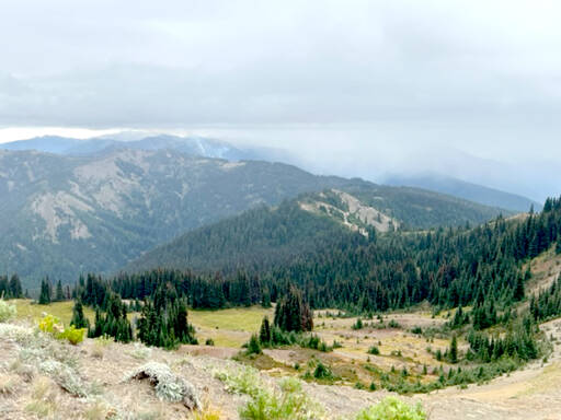 Small plumes of smoke rise from the Eagle Point Fire, as seen from the Hurricane Hill Trail, as rain moves into the area. (Olympic National Park)
