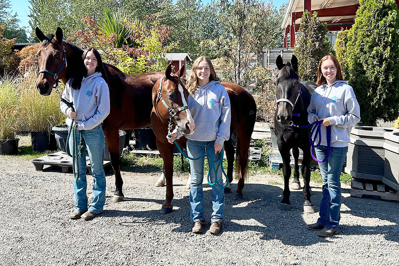 Counties from across the state send their top exhibitors in the intermediate and senior divisions to compete at the Washington State Fair in Puyallup during September. Pictured are Clallam County’s 4-H members Ava Hairell and Banjo, left, Taylor Maughan with Ru and Katelynn Sharpe with Sophie. (photo by Katie Newton)