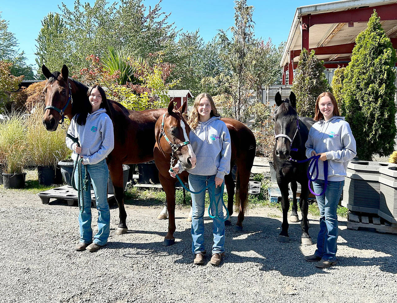 Counties from across the state send their top exhibitors in the intermediate and senior divisions to compete at the Washington State Fair in Puyallup during September. Pictured are Clallam County’s 4-H members Ava Hairell and Banjo, left, Taylor Maughan with Ru and Katelynn Sharpe with Sophie. (photo by Katie Newton)