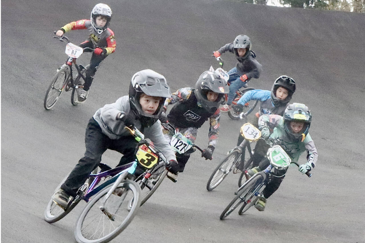 Racing in one of the youngest motos at the Washington BMX finals held at the Lincoln Park BMX Park on Sunday is No. 3 Sawyer Baur of Belfair, No. 6 Caleb McPeek of Richland, No. 127 Myles Gates of Federal Way and No. 134 Braedyn Monette of Port Angeles. There were more than 520 racers from age 3 to 73 in age racing in 104 motos. (Dave Logan/for Peninsula Daily News)