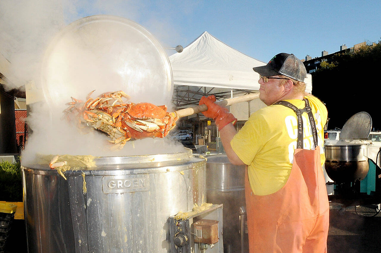 Crab cook Jacob Brown takes cooked crabs from a boiling kettle on Thursday in preparation for this weekend’s Dungeness Crab and Seafood Festival in Port Angeles. The three-day event features a variety of seafood and other culinary delights, musical entertainment and other activities along the Port Angeles waterfront. (KEITH THORPE/PENINSULA DAILY NEWS)