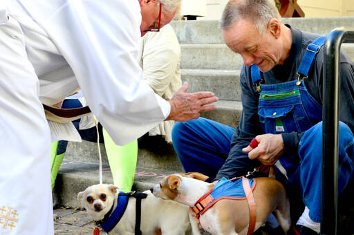 The Rev. Craig Vocelka of St. Paul’s Episcopal Church blesses 12-year-old Sweetpea, left, and Abner, 2, as their caregiver Danny Barnes of Port Hadlock looks on during Sunday’s Blessing of the Animals in Port Townsend. More than a dozen dogs came with their people to the labyrinth at St. Paul’s, where the spirit of St. Francis, a lover of animals, was invoked. (Diane Urbani de la Paz/For Peninsula Daily News)